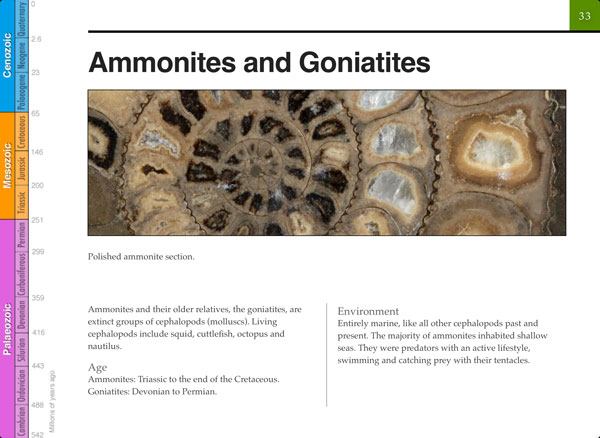 Minerals under the microscope screenshot 1