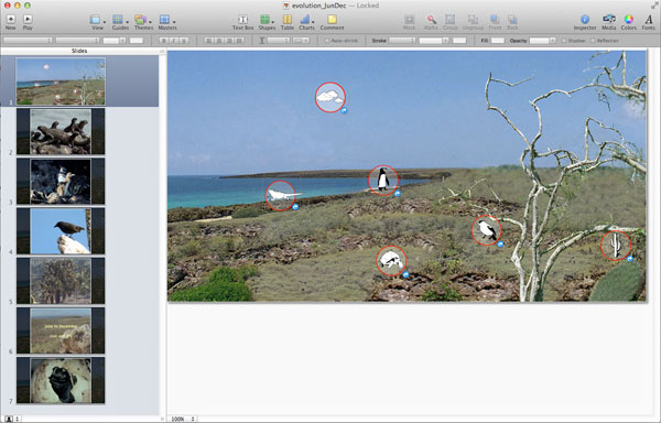 Galapagos screenshot 2