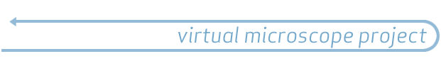 Virtual Microscope Logo